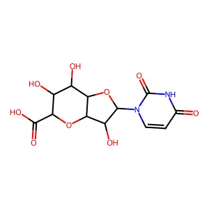 Nikkomycin So(Z) structure