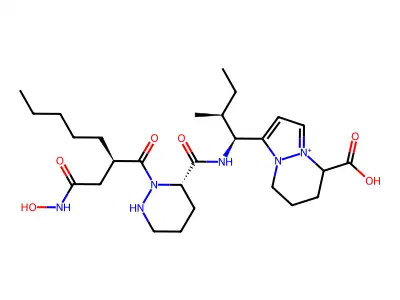 Matlystatin F structure