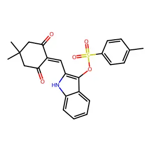 BIM-0049855.P001 structure