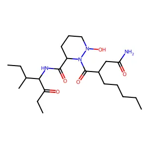 Matlystatin B structure