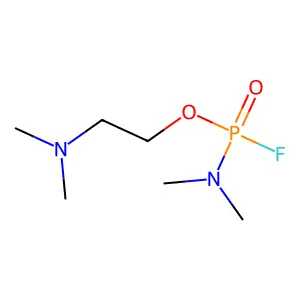 基维 structure