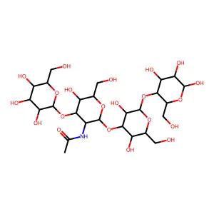 lacto-N-tetraose structure