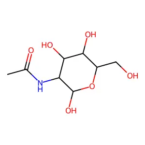N-乙酰葡糖胺 structure