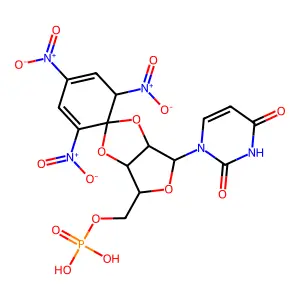 2',3'-O-(2,4,6--trinitrocyclohexadienylidene)uridine 5'-monophosphate structure