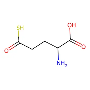 (2S)-2-amino-5-oxo-5-sulfanylpentanoic acid structure