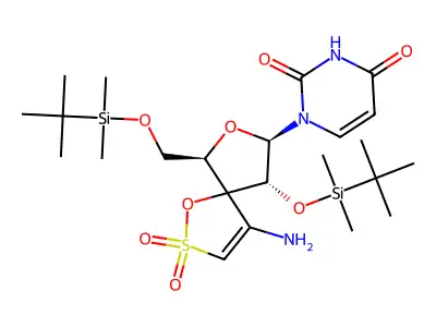Tsao-U structure