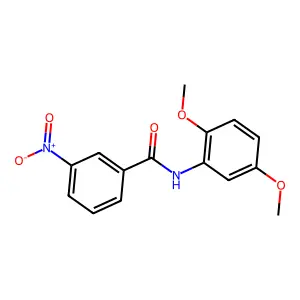 N-(2,5-dimethoxyphenyl)-3-nitrobenzamide structure