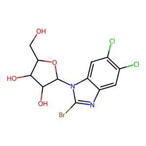 Bdcrb structure