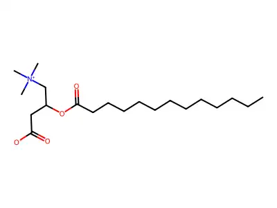 Tridecanoyl carnitine structure