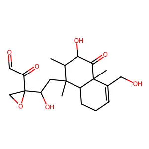 Uct 4B structure