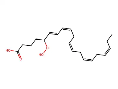 5S-HpEPE structure