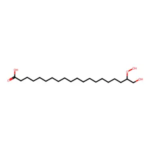 19-过氧羟基-20-羟基花生酸 structure