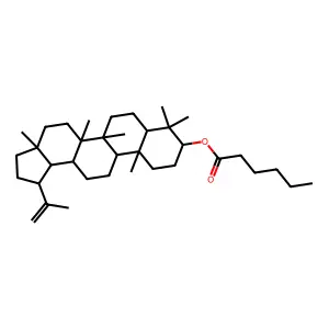 Cynanester A structure