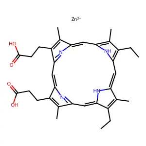 ZnMP structure