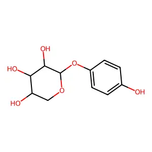 4-hydroxyphenyl-O-xyloside structure