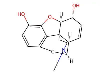 Isomorphine structure