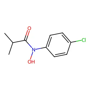 N-(4-Chlorophenyl)-N-hydroxy-2-methylpropanamide structure