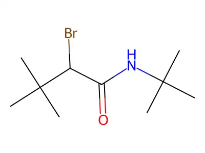 2-bromo-N-tert-butyl-3,3-dimethylbutanamide structure
