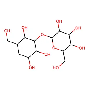 Pseudo-laminarabiose structure