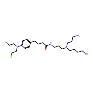 Cbsp conjugate structure