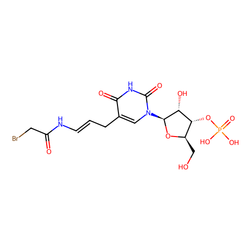 5-(3-(Bromoacetamido)allyl)uridine-3'-monophosphate structure