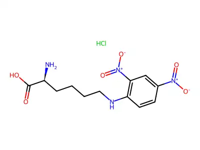 N6-(2,4-二硝基苯基)-L-赖氨酸盐酸盐 structure