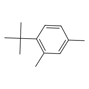 Benzene, 1-(1,1-dimethylethyl)-2,4-dimethyl structure