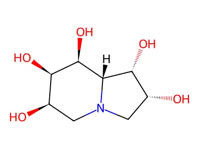 1,2,3,5,6,7,8,8a-Octahydroindolizine-1,2,6,7,8-pentol structure