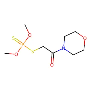 Morphothion structure