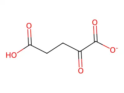 Pentanedioic acid, 2-oxo-, ion(1-) structure