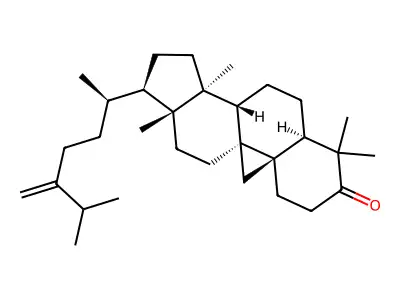 24-Methylenecycloartan-3-one structure