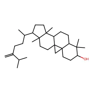 24-Methylenecycloartanol structure