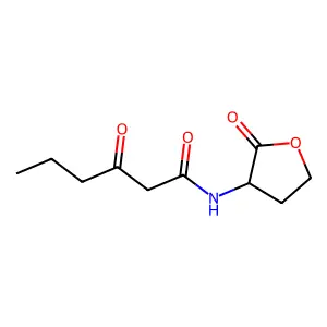 (R)-3-Oxo-N-(2-oxotetrahydrofuran-3-yl)hexanamide structure