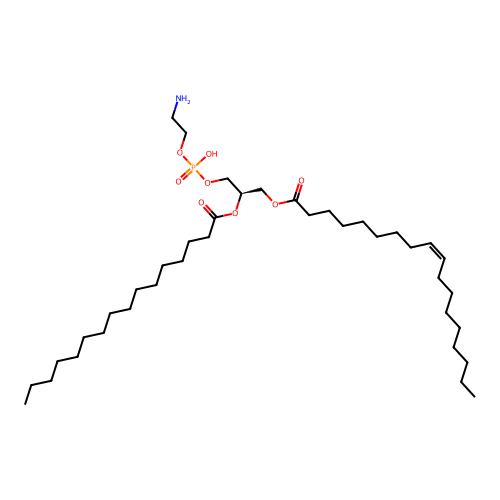 PE(18:1(9Z)/16:0) structure