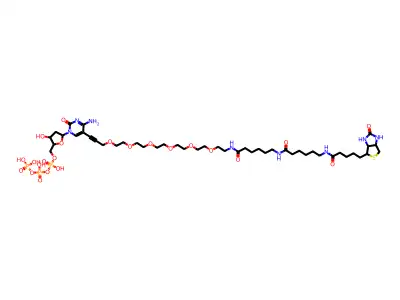 biotin-36-dCTP structure