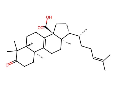3-Oxolanosta-8,24-dien-30-oic acid structure