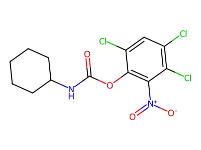 Phenol, 2-nitro-3,4,6-trichloro-, cyclohexylcarbamate structure