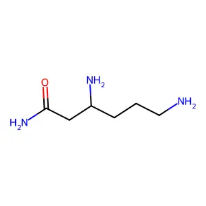 β-赖氨酰胺 structure