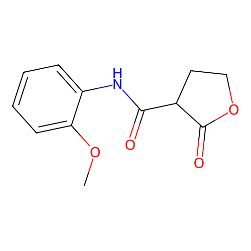 N-(2-methoxyphenyl)-2-oxooxolane-3-carboxamide structure