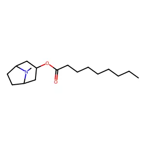 Tropine nonanoate structure