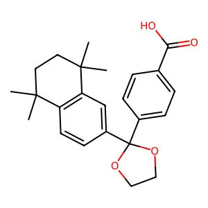 SR 11237 structure