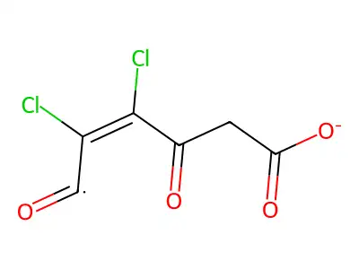 2,3-Dichloromaleylacetate structure