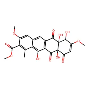 5838 Dni structure