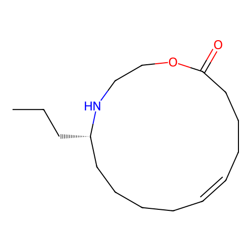 Epilachnene structure