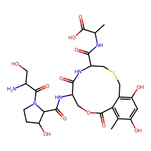 Cyclothialidine structure