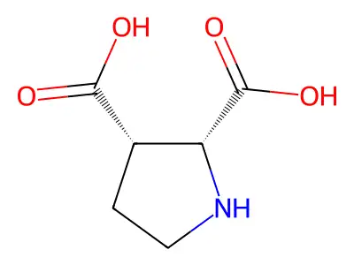 Pyrrolidine-2,3-dicarboxylic acid structure