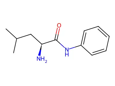 2-amino-4-methyl-N-phenyl-pentanamide structure