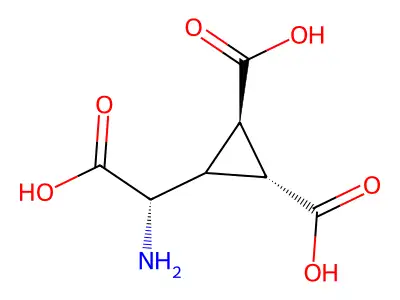 2-(2,3-Dicarboxycyclopropyl)glycine structure
