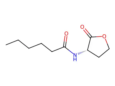 N-(2-oxooxolan-3-yl)hexanamide structure