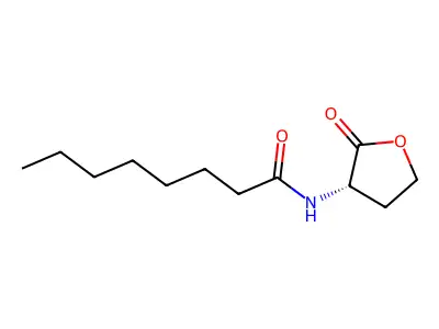 N-Octanoyl-DL-homoserine lactone structure